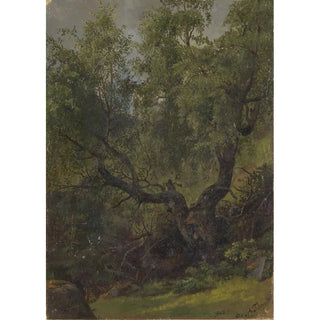 Adolph Tidemand - Forest Study from Numedal.webp