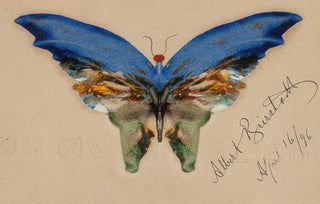 Albert Bierstadt - Blue Butterfly.webp