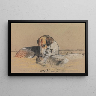 Archibald Thorburn - Hounds Seagull.webp