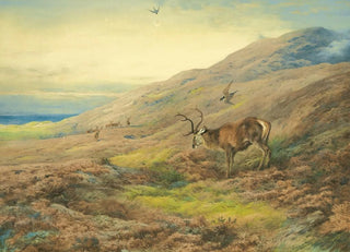 Archibald Thorburn - In The Highlands Red Stag Mobbed By A Pair Of Peregrines.webp