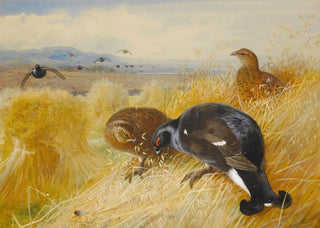 Archibald Thorburn - On The StooksBlackgame.webp