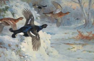 Archibald Thorburn - Through The Snowy CovertsBlackgame.webp