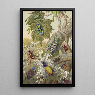 Barret And Sons - British Bees And Their Foreign Relatives.webp