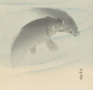 Deux carpes - Ohara Koson
