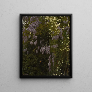 Edward Oku - Wisterias in bloom.webp