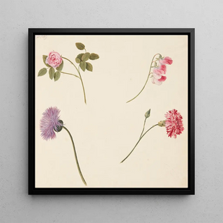 Johanna Fosie - Studie af blomster.webp