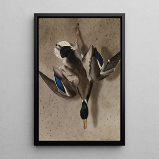 Ferdinand von Wright - Hanging Mallard.webp