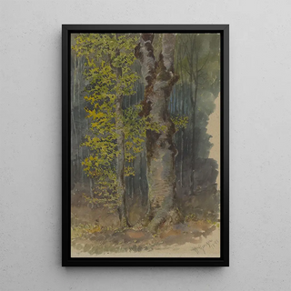 Friedrich Carl von Scheidlin - Study of a Trunk Branching Out.webp