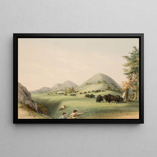 George Catlin - Buffalo Hunt Approaching in a Ravine.webp