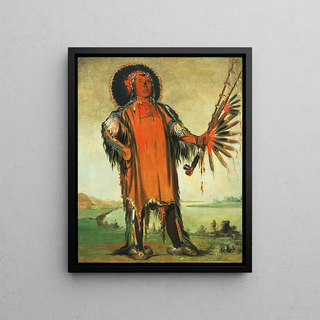 George Catlin - HaNaTNuMak Wolf Chief Head Chief of The Tribe.webp