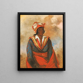 George Catlin - Ktteeotbbee How Did He Kill a Noted Brave.webp