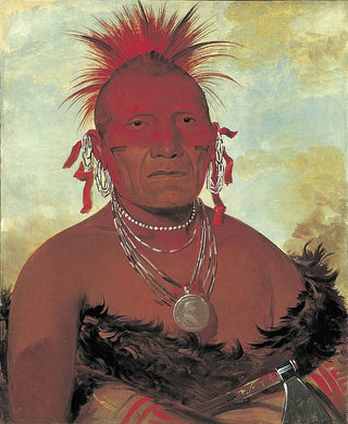 George Catlin - Shnkakihega Horse Chief Grand Pawnee Head Chief.webp