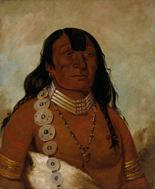 George Catlin - ThTotSah Better Known As Tohausen Little Bluff First Chief.webp