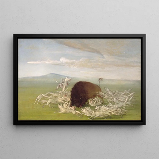 George Catlin - White Wolves Attacking a Buffalo Bull.webp