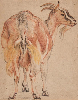 Jacob Jordaens - Goat.webp