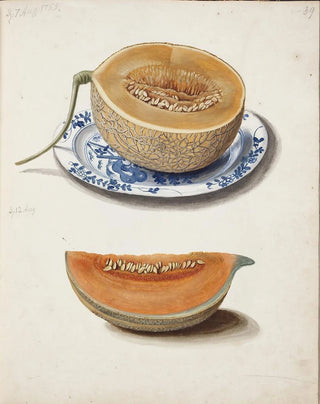 Johanna Fosie - Studie Af To Netmeloner Halveret Og Kvadreret.webp