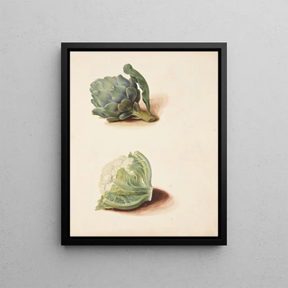 Johanna Fosie - Studie af artiskok og blomklshoved.webp