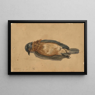 John La Farge - Dead Bird.webp