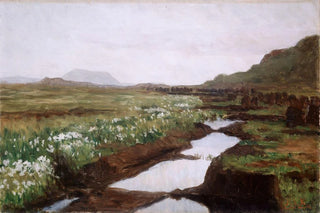 Kitty Kielland - Study of a Peat Bog on Jren.webp