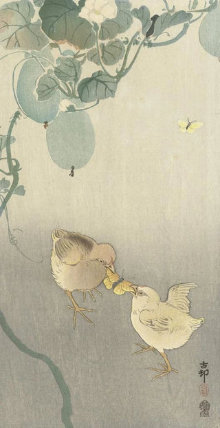 Ohara Koson - Two chicks fighting for butterfly.webp