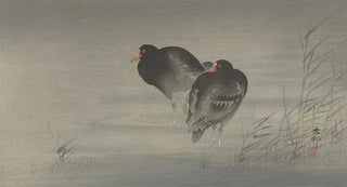Ohara Koson - Two moorhens.webp