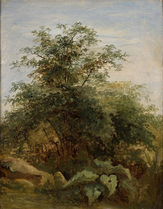 PierreHenri de Valenciennes - Study of a bush plants and rocks next to the lake Nemi.webp