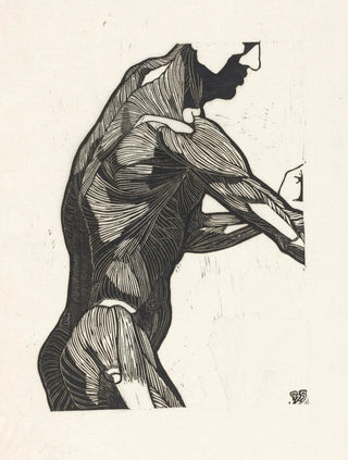 Reijer Stolk - Anatomische studie van de zij en armspieren van een man.webp