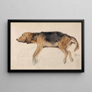 Sir Edwin Henry Landseer - Study of a Dog Lying Down.webp