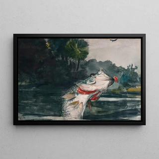 Winslow Homer - LifeSize Black Bass.webp