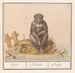 Aap Primates Aep Simius Singe - Anselmus Botius de Boodt — vista de la obra
