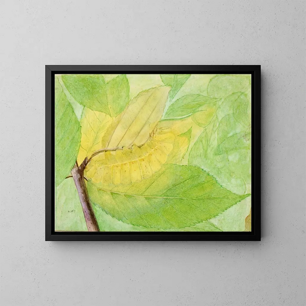 Study of the lunar caterpillar for the book Camouflage in the animal kingdom - Abbott Handerson Thayer — framed artwork on a wall
