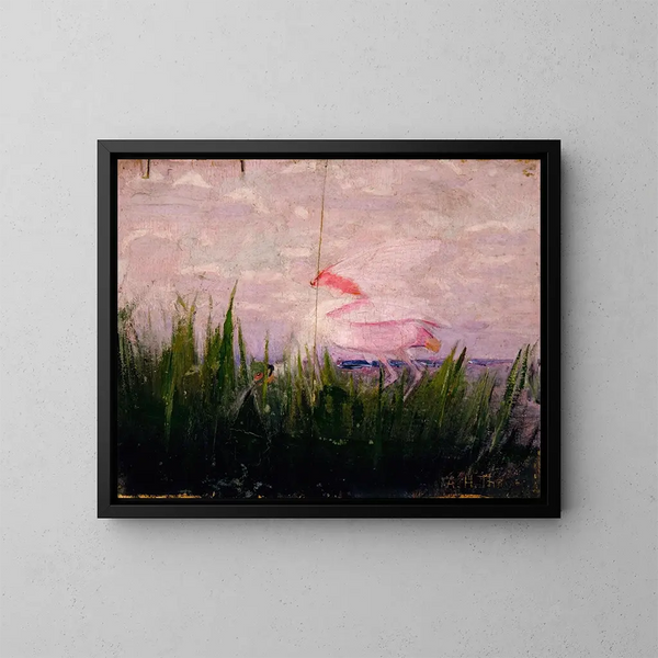 Study of Pink Spatula for the Book Camouflage in the Animal Kingdom - Abbott Handerson Thayer — framed artwork on a wall