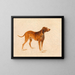Perro de caza - Adalbert Stifter — cuadro enmarcado en la pared
