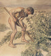 Adam dibujando un cardo - Joakim Skovgaard — vista de la obra