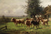 Reproducción de vacas cerca de Dachau - Adolf Chelius — vista de la obra