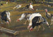 Dindons - Adolf Fényes — artwork view