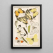 Deutsche Schmetterlingskunde for beginners with a collection guide Pl04 - Adolf Speyer — framed artwork on a wall