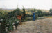 Tarde en la villa - Adolfo Tommasi — vista de la obra