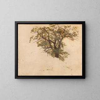 Adolph Tidemand - Study of an Oak.webp
