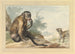 a monkey sitting on a rock looking at a civet - Aert Schouman — artwork view