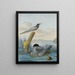 a couple of black terns with nest and egg in a river landscape - Aert Schouman — framed artwork on a wall