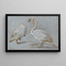 a couple of swans standing, one smoothing its feathers - Aert Schouman — framed artwork on a wall