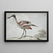A rosy spatula Platalea ajaja - Aert Schouman — framed artwork on a wall