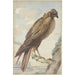 A kite - Aert Schouman — artwork view