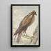 A kite - Aert Schouman — framed artwork on a wall