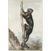 Diable des bois - Aert Schouman — artwork view
