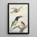 Reproduction of the painting of Three birds: a kingfisher, a Wied's toucan, and an organist - Aert Schouman