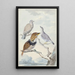 Three birds: two Inca pigeons and a collared cuckoo - Aert Schouman — framed artwork on a wall