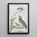 Reproduction of the painting Quatre oiseaux différents sur une branche - Aert Schouman