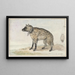 Hiena manchada - Aert Schouman — cuadro enmarcado en la pared
